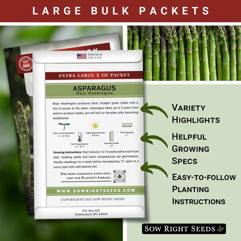 Sow Right Seeds asparagus germination in warm soil signals early growth potential.