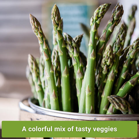 Sow Right Seeds asparagus packet Argenteuil supports long-lived garden production