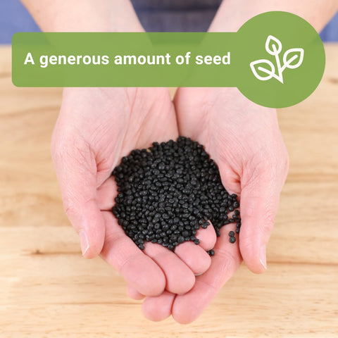 Sow Right Seeds planting half inch depth ensures proper seed to soil contact.