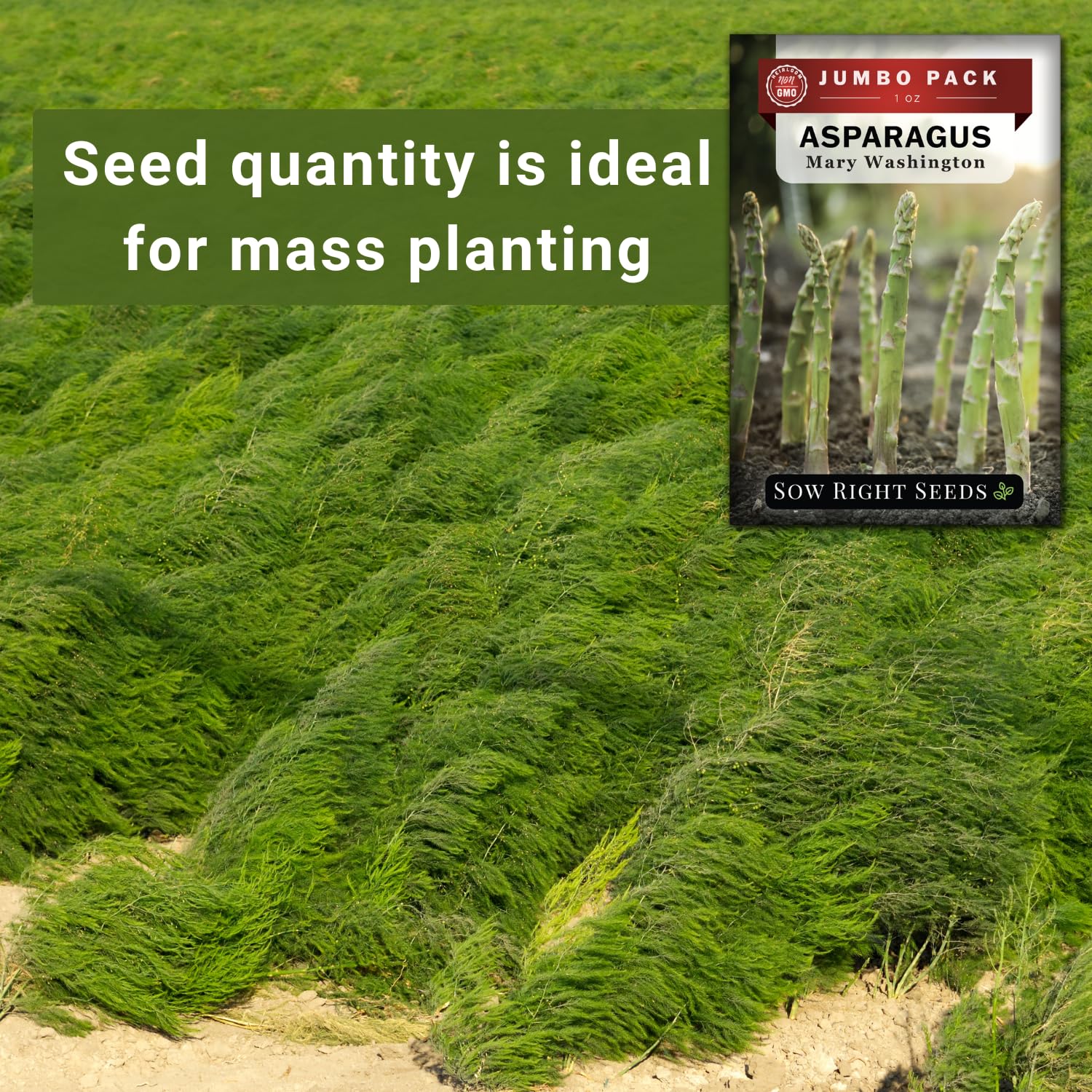 Sow Right Seeds 4-6 inch spacing supports healthy crowns and future harvests.