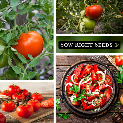 Sow Right Seeds Beefsteak tomato bruschetta-ready slices add flavor.