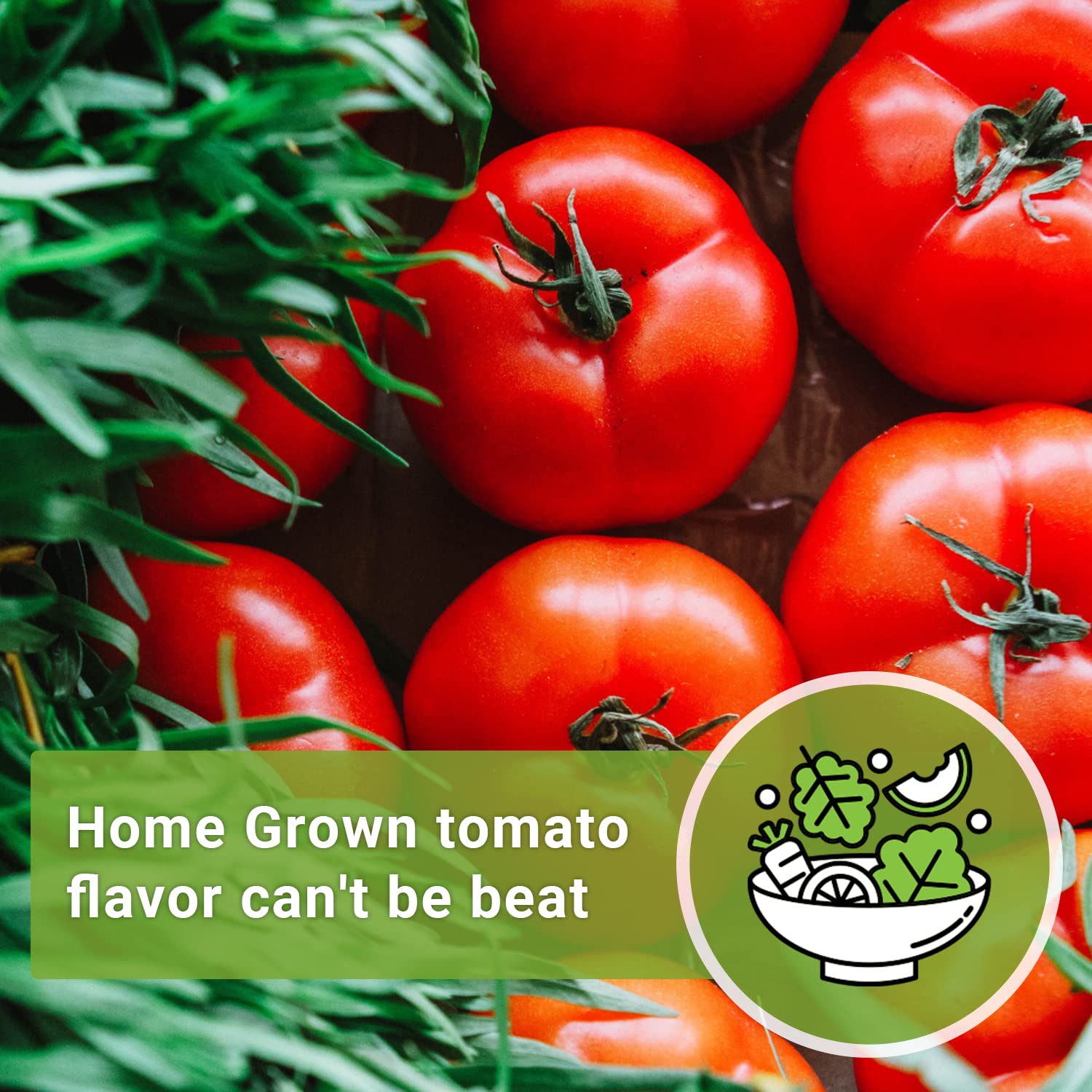 Sow Right Seeds Beefsteak tomato on toast showcases bright red slices.