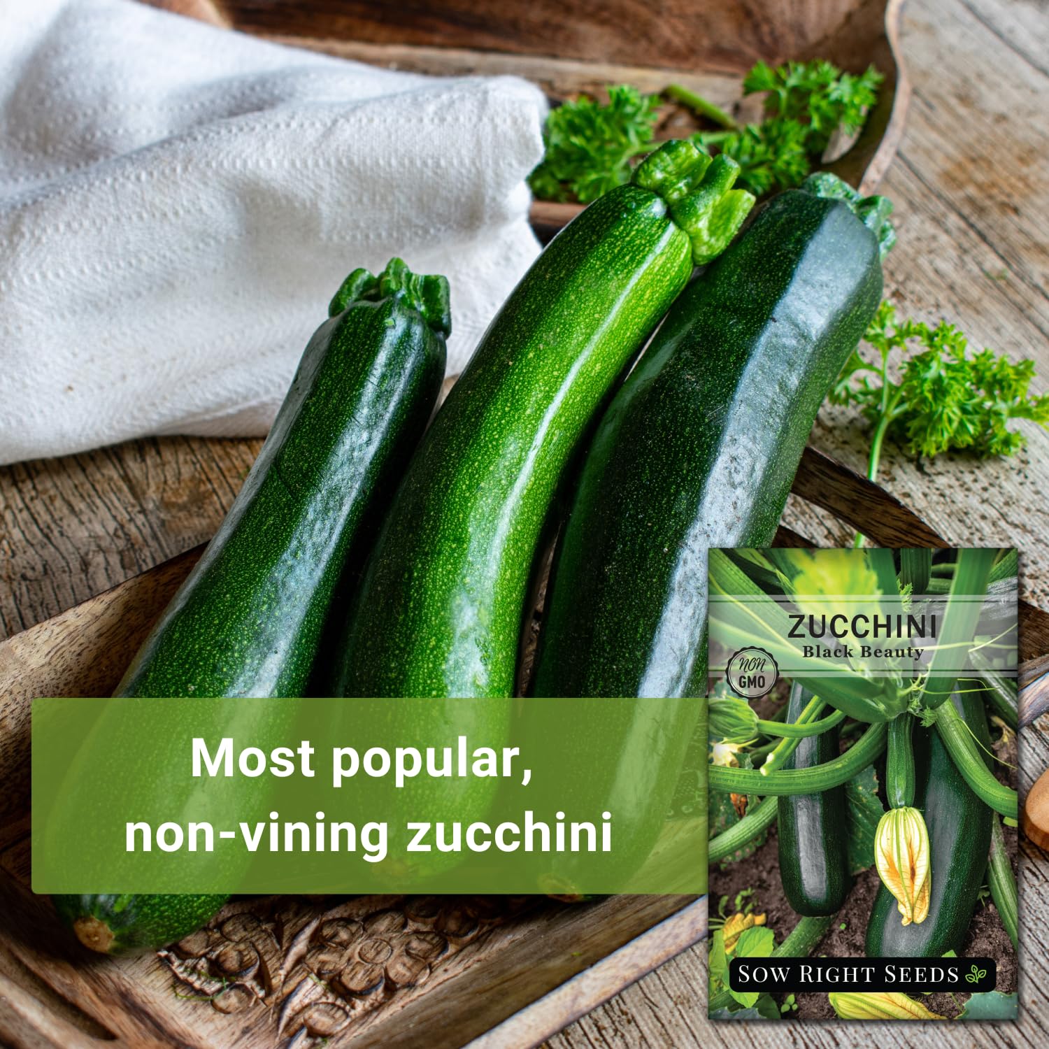 Compact Black Beauty Zucchini plant thriving in a small garden