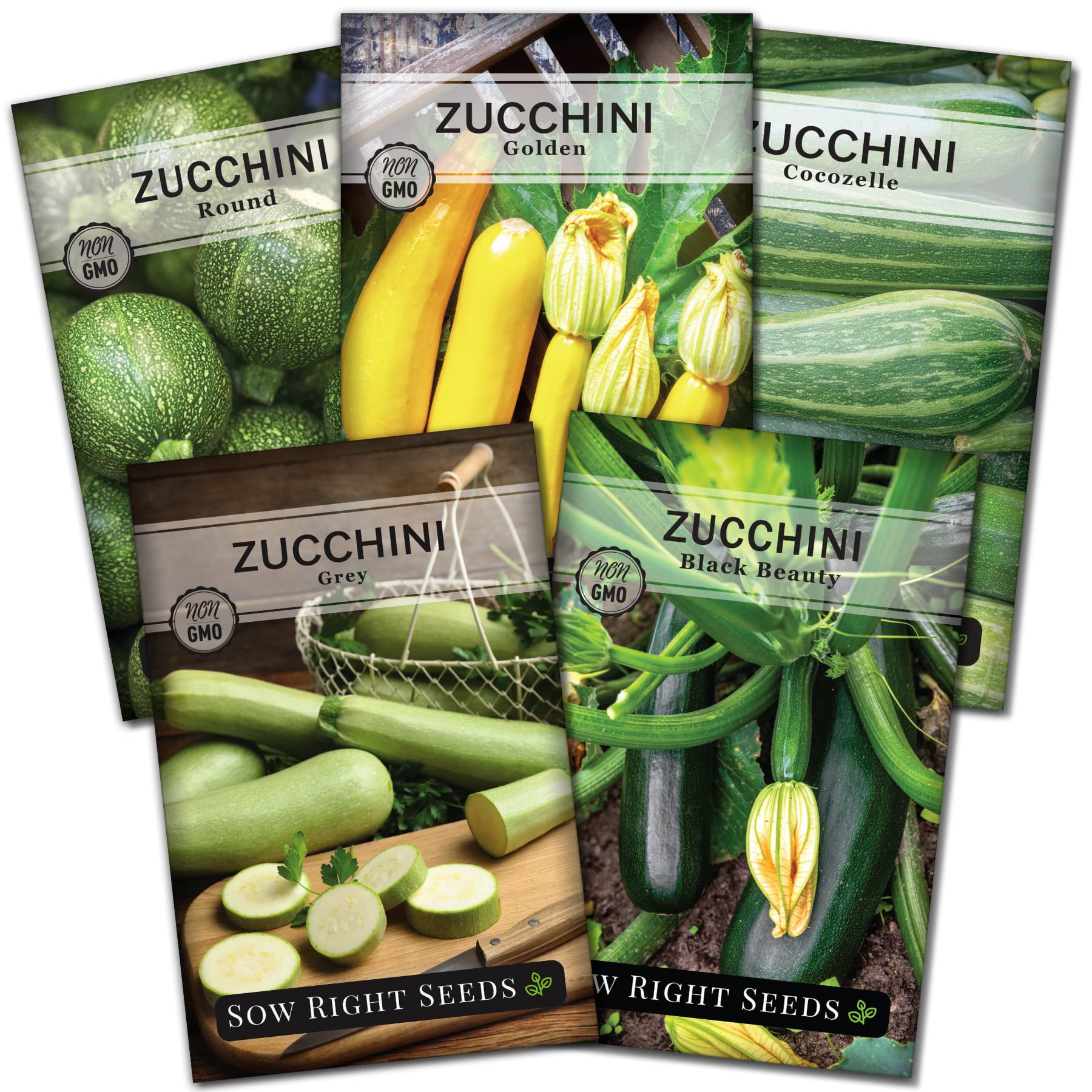 Sow Right Seeds Black Beauty zucchini seed packet for a compact patio garden.