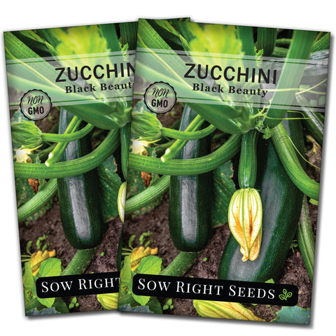 Sow Right Seeds Black Beauty Zucchini seeds packet ready for home planting