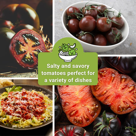 Sow Right Seeds Black Tomato Collection packs four varieties for a diverse garden