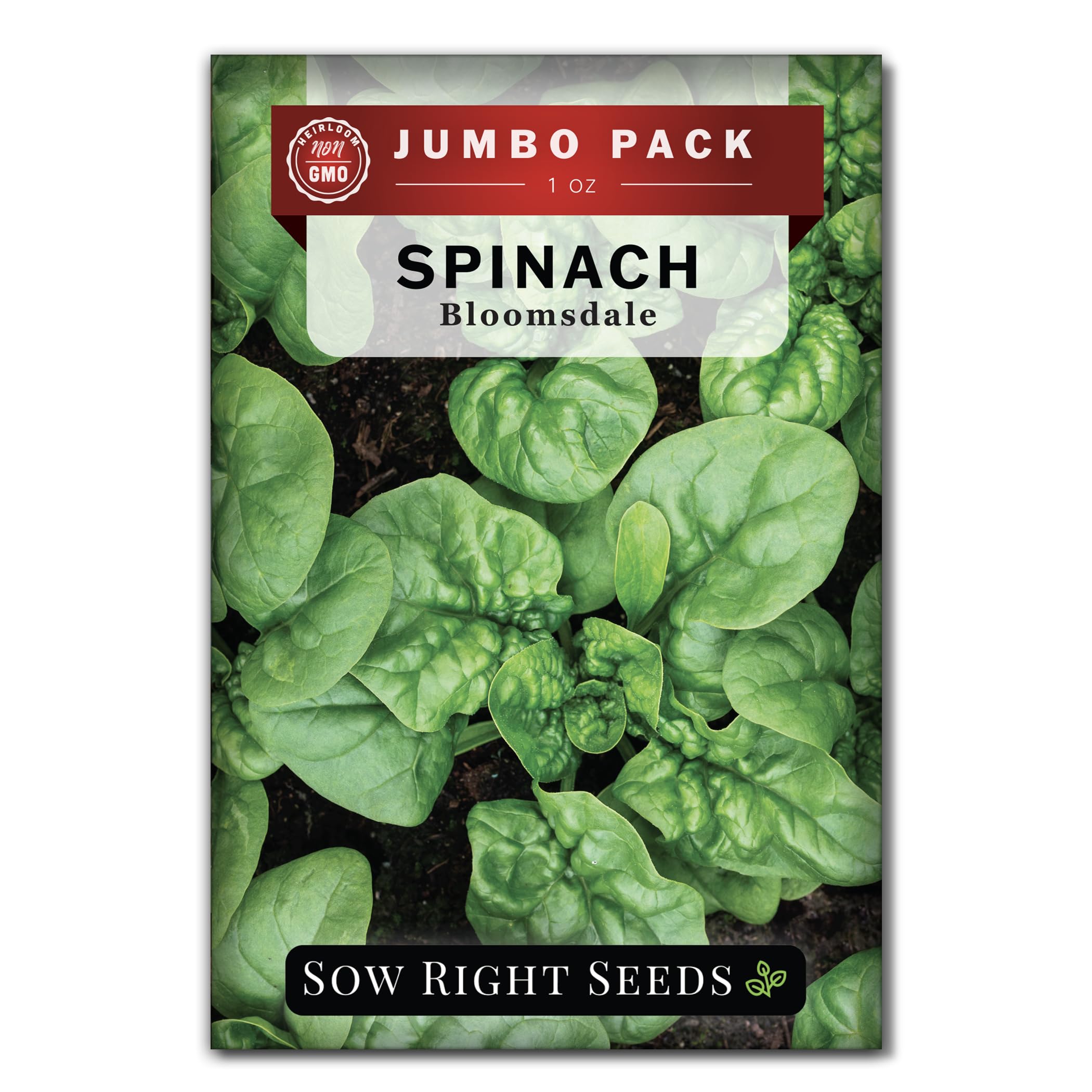 Sow Right Seeds Bloomsdale spinach seeds bulk pack ready for a productive home garden.
