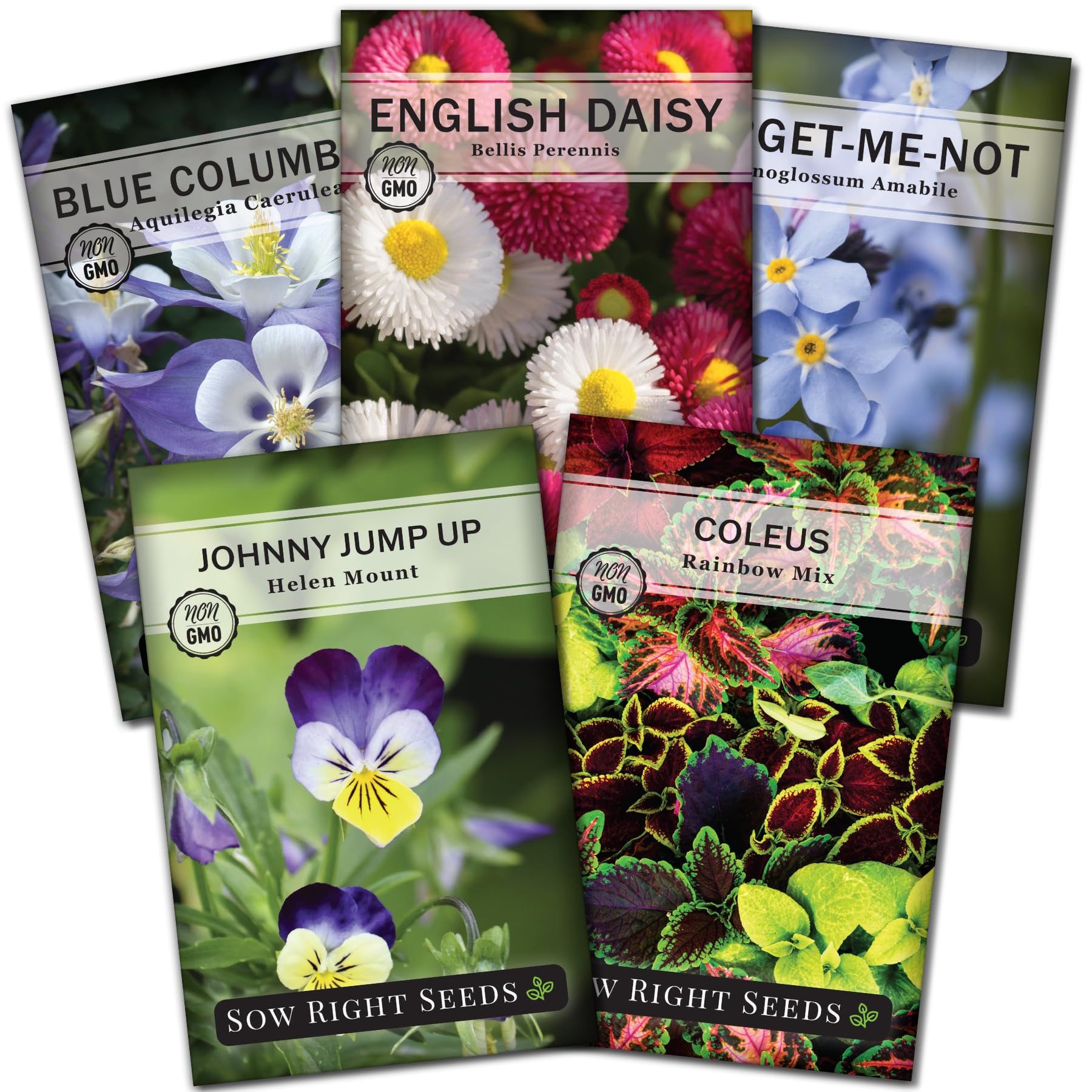 Sow Right Seeds blue columbine packet shows vivid blue blooms for shaded borders.