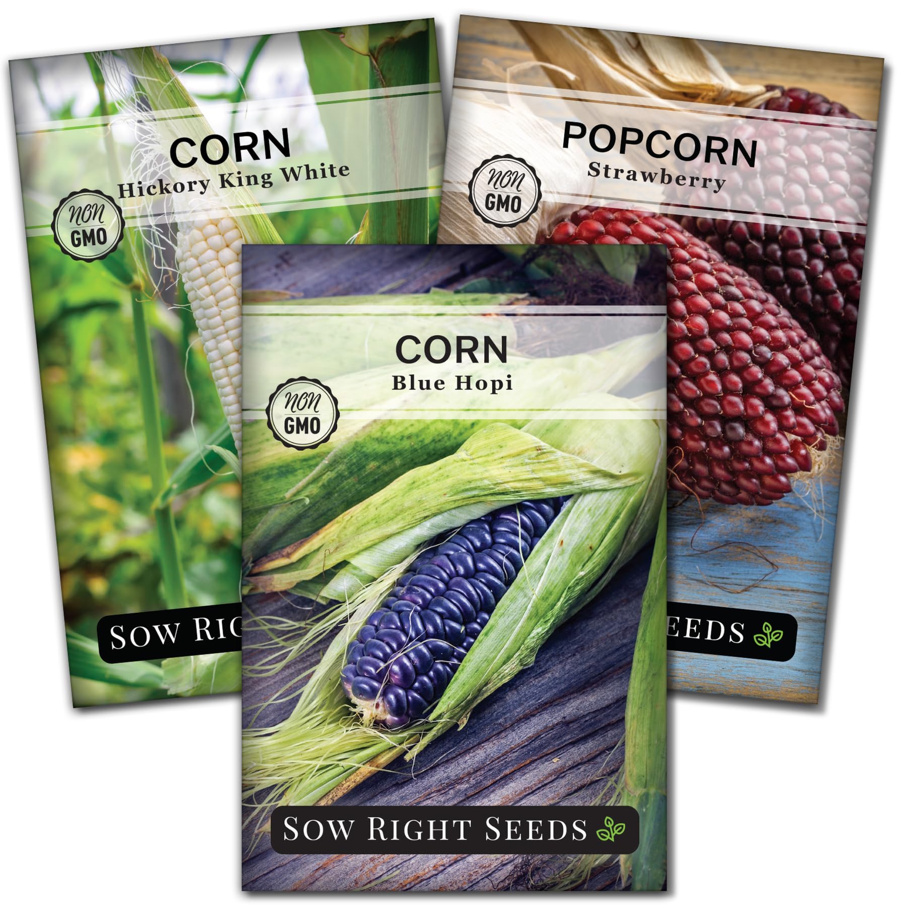 Sow Right Seeds Blue Hopi corn packet ready for home garden soil planting.