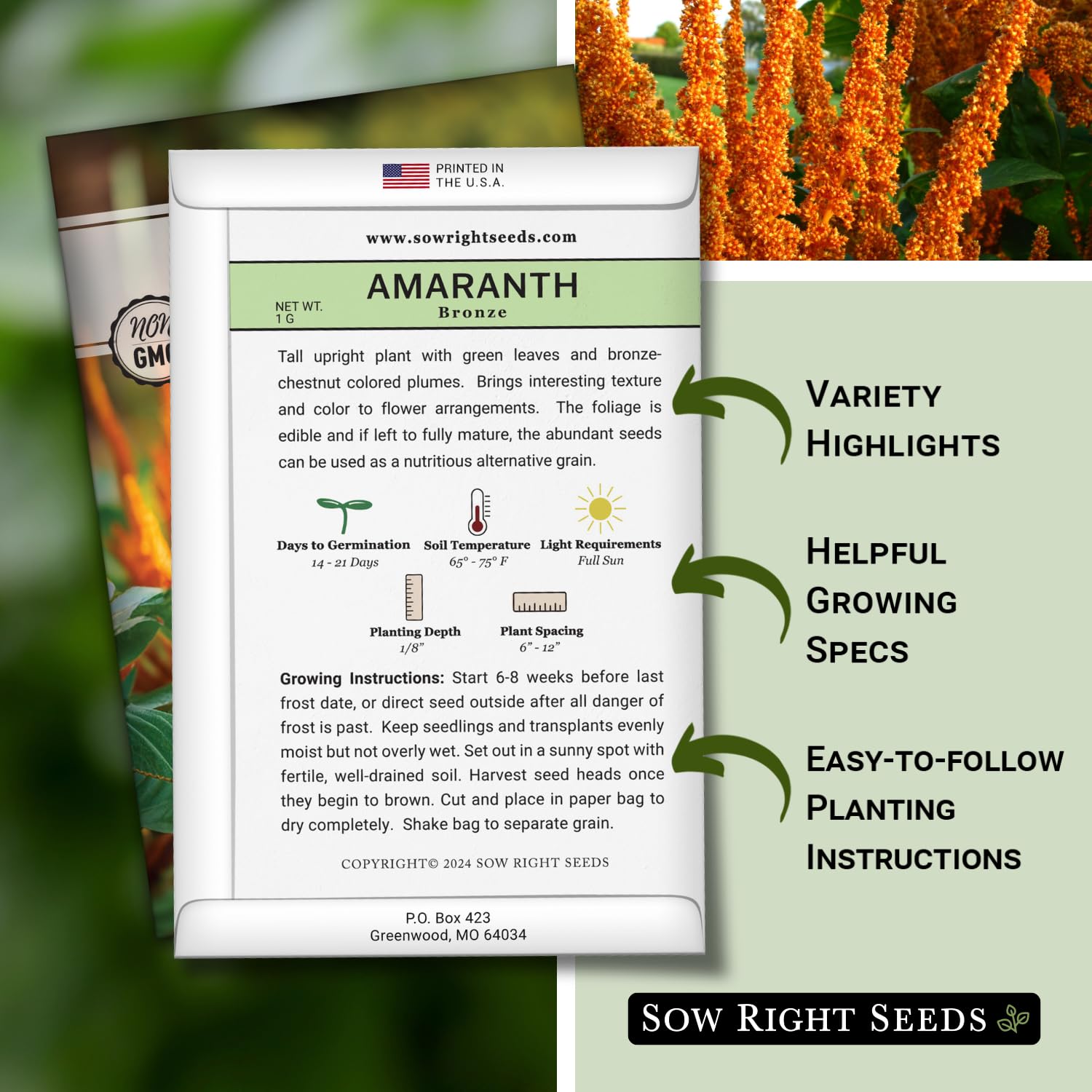 Sow Right Seeds Bronze Amaranth plumes in full bloom add dramatic color to bouquets.