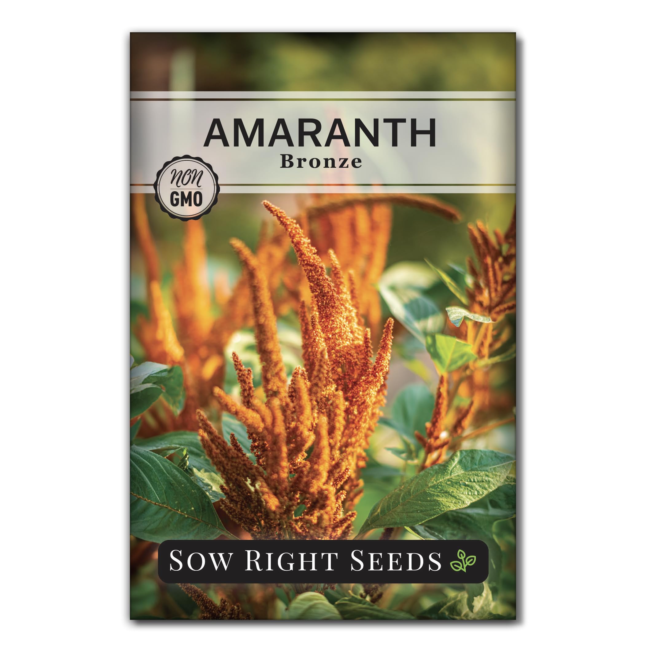 Sow Right Seeds Bronze Amaranth seeds packet ready for planting in sunlit beds.