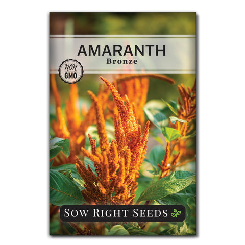 Sow Right Seeds Bronze Amaranth seeds packet ready for planting in sunlit beds.