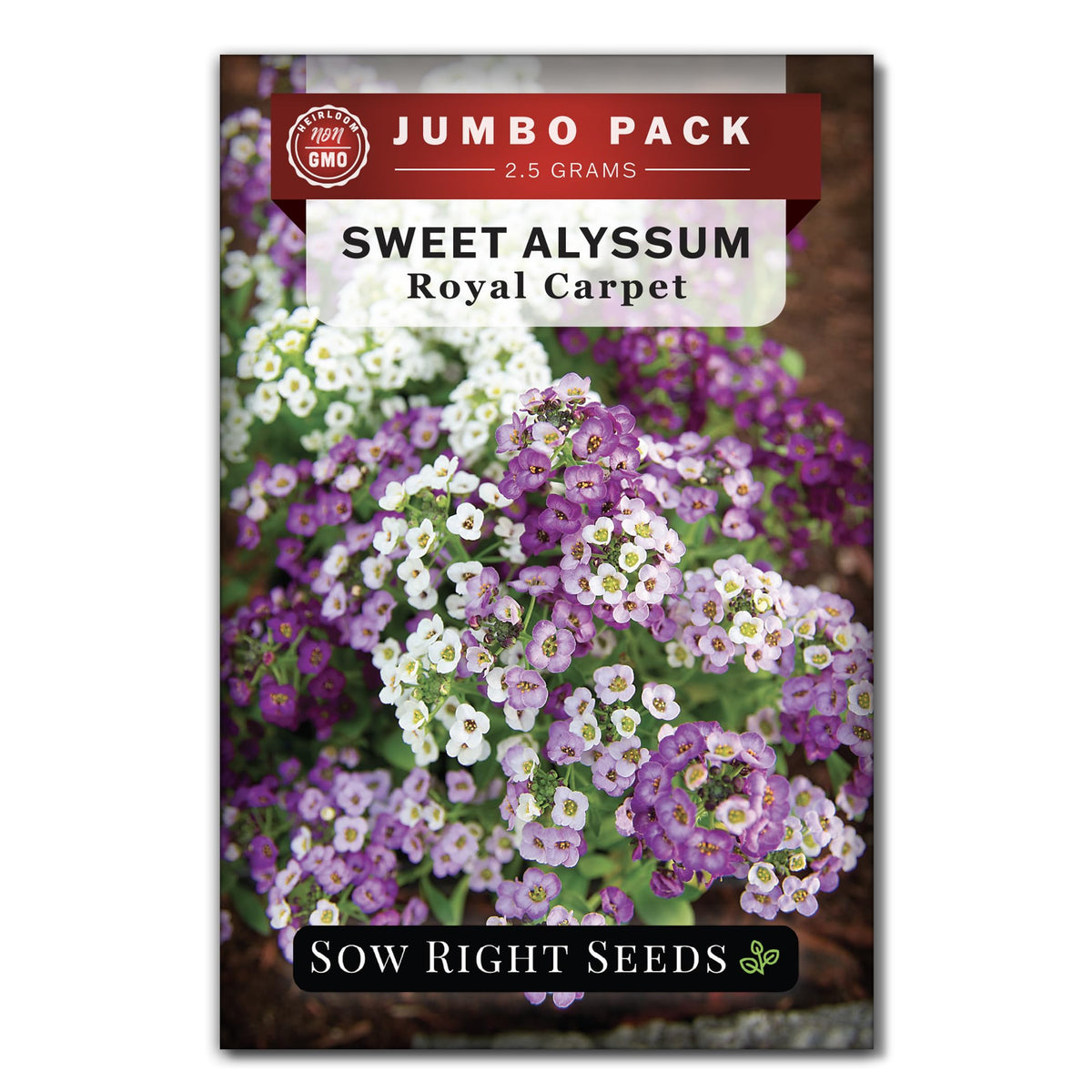 Sow Right Seeds bulk alyssum seed pack for quick border coverage and color.