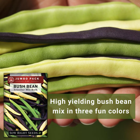 Sow Right Seeds bulk seed packaging highlighting value and bulk savings.