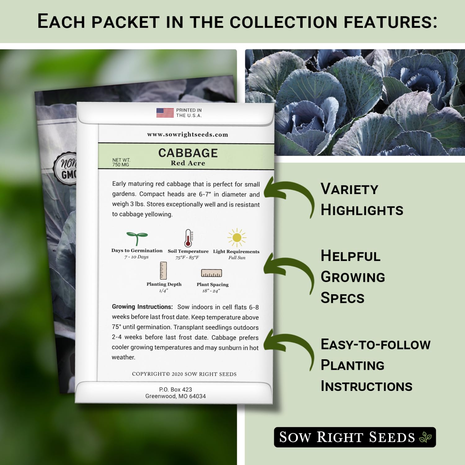 Sow Right Seeds Savoy Perfection, crinkled leaves for decorative fall harvests.