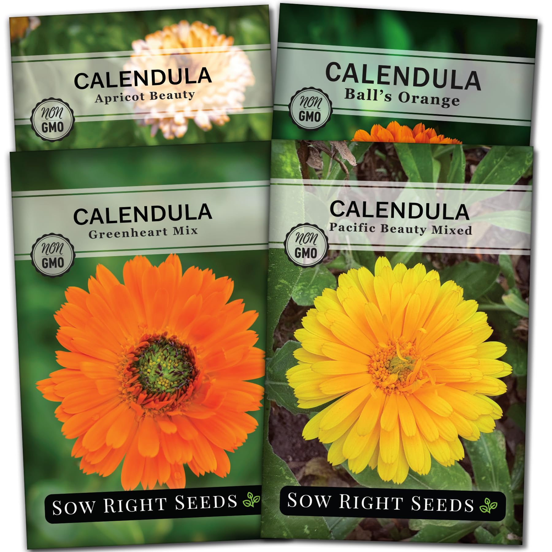 Sow Right Seeds Calendula Apricot Beauty seed packet for vibrant apricot blossoms and color in the garden.