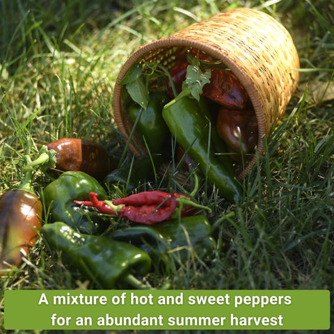 Sow Right Seeds California Wonder, Cubanelle, and Marconi Red packets highlight versatile sweet peppers