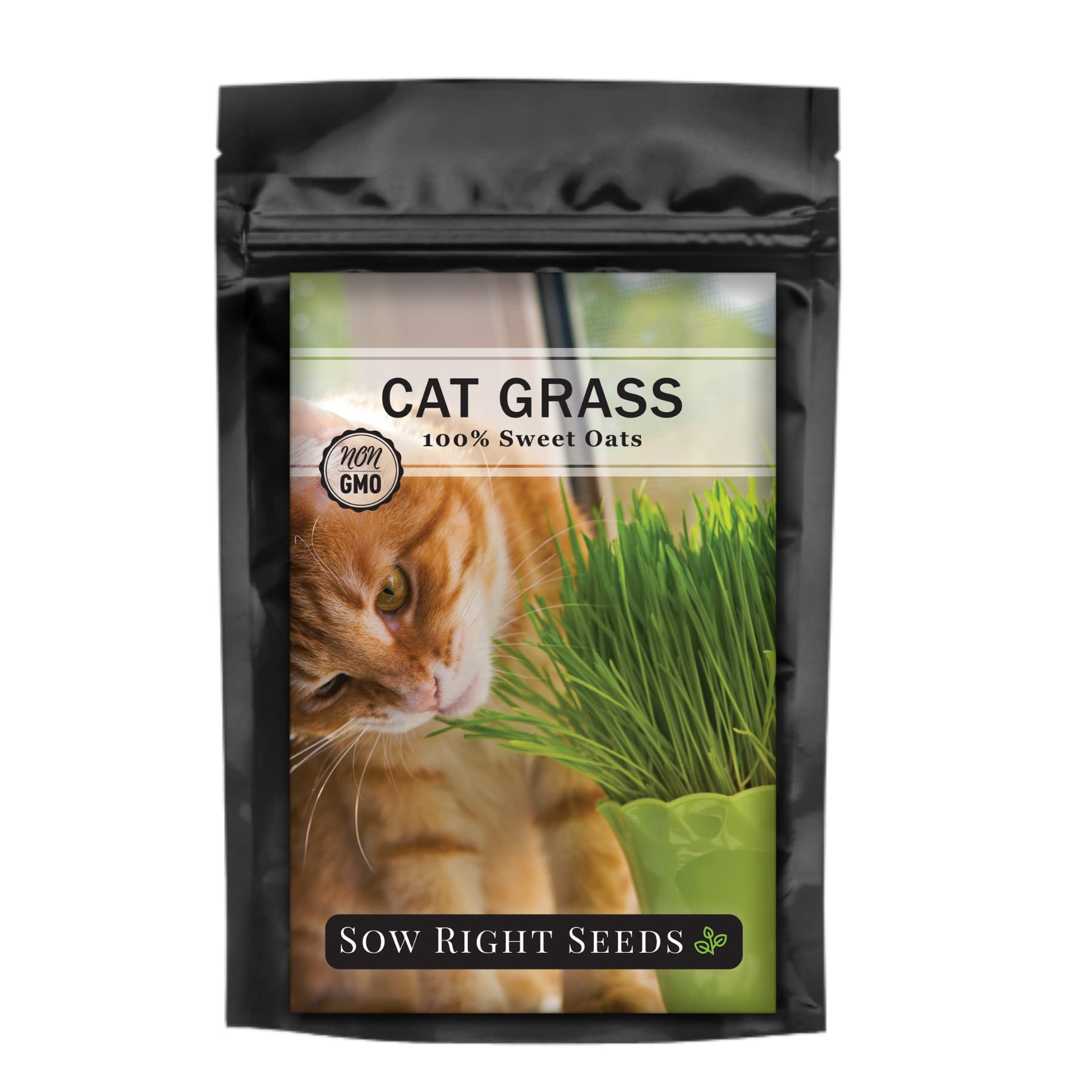 Sow Right Seeds cat grass seeds 8oz packet for easy indoor pet greens.
