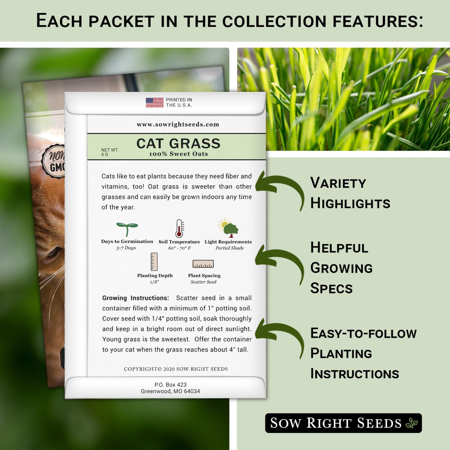 Sow Right Seeds cat grass sprout—indoor greens for healthy, fiber-rich nibbling.