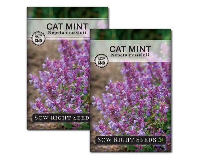 Sow Right Seeds Catmint seeds packet for easy planting and fragrant blooms.