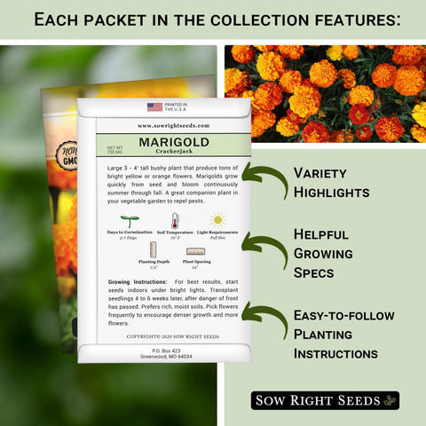 Sow Right Seeds Catnip packet attracts beneficial insects for outdoor spaces