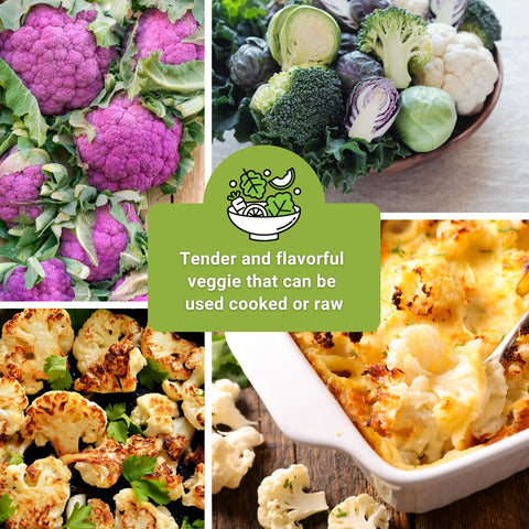 Sow Right Seeds Cauliflower Collection seed packets for diverse garden options