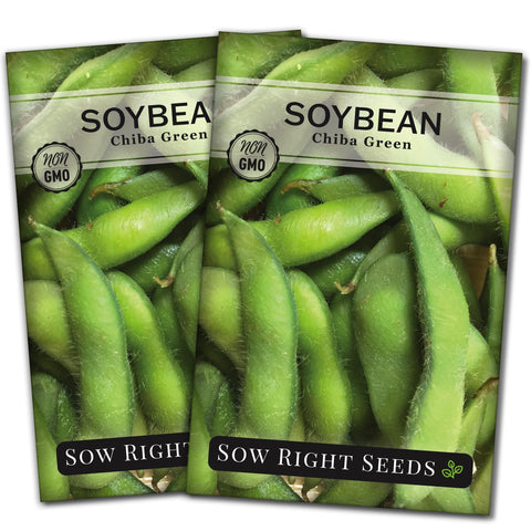 Sow Right Seeds Chiba Green Soybean seed packet for edamame and soil health.