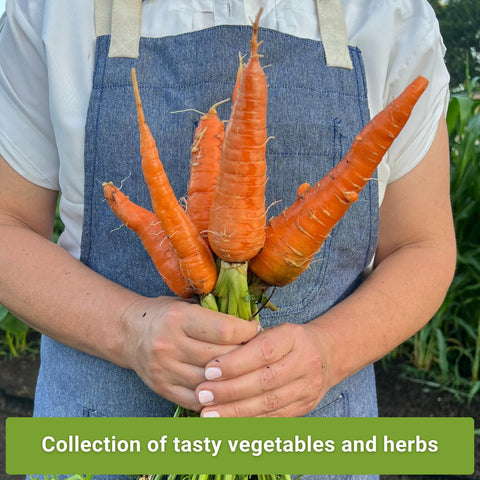 Sow Right Seeds Chinese celery packet for flavorful stir-fries