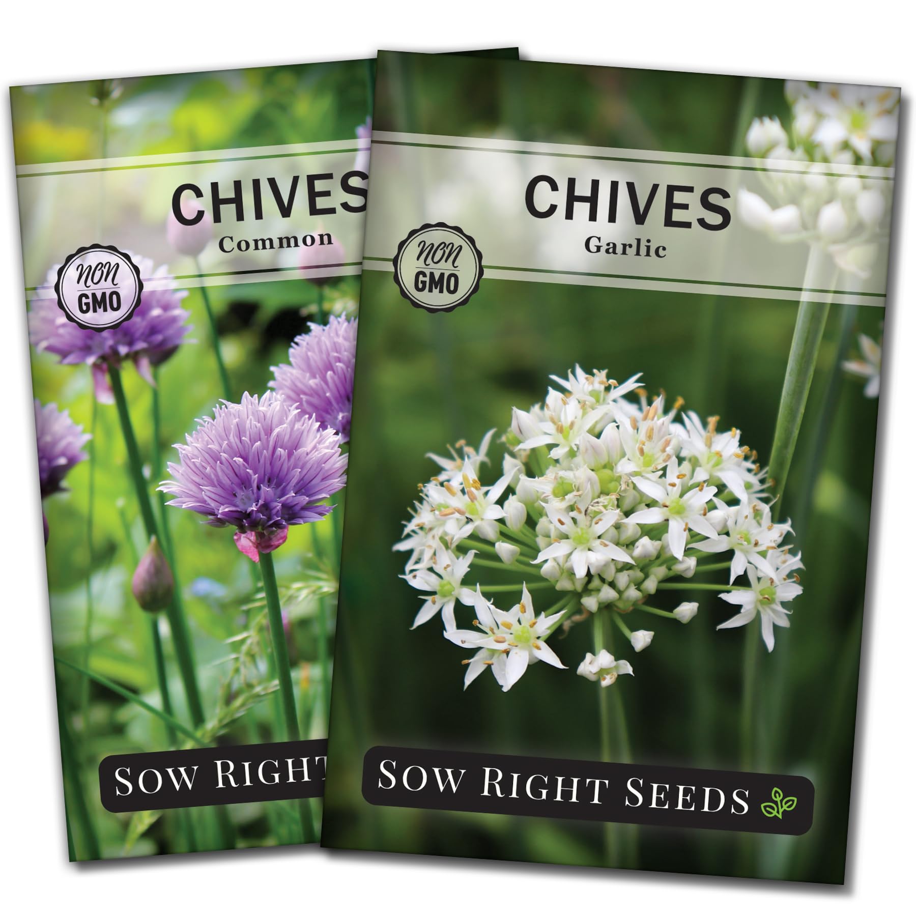 Sow Right Seeds chives seed collection packaging image for versatile kitchen garden beginnings.