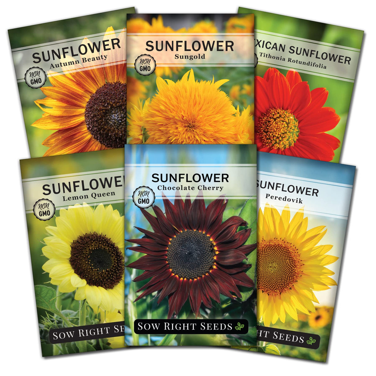 Sow Right Seeds Chocolate Cherry sunflower packet showing vibrant blooms for pollinator gardens.