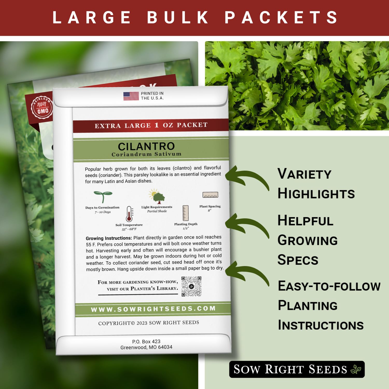 Sow Right Seeds cilantro germination timing supports steady herb production