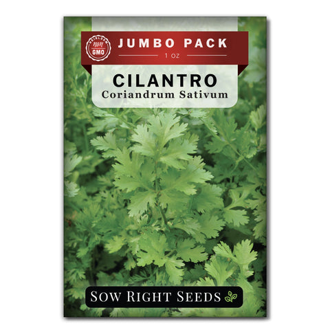 Sow Right Seeds cilantro seeds bulk 1oz for abundant home harvests