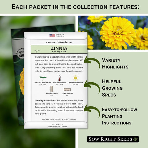 Sow Right Seeds Canary Bird yellow zinnia adds sunny color to containers