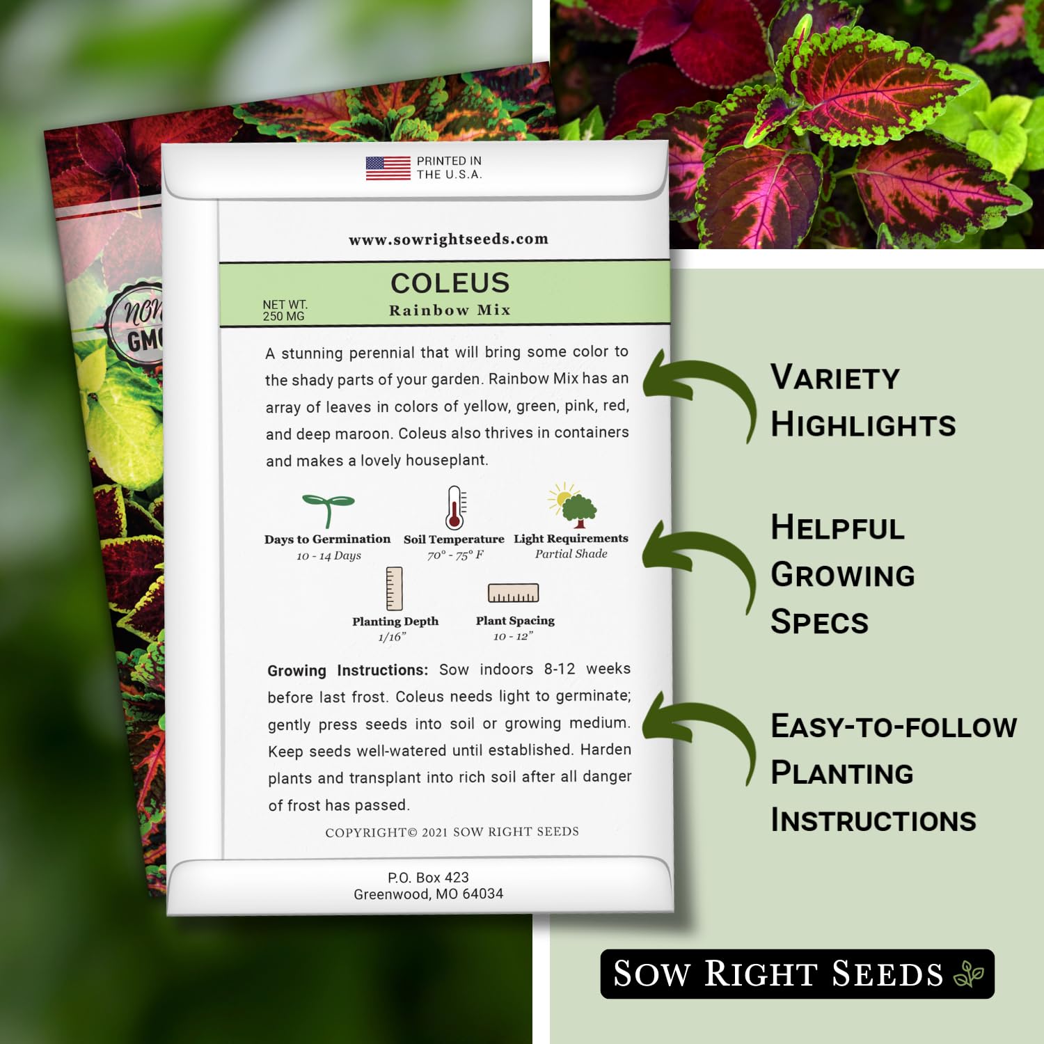 Sow Right Seeds Coleus Rainbow Mix germination in 10-14 days with warm soil