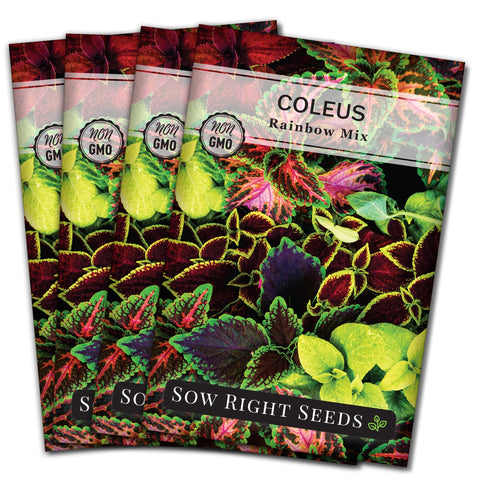 Sow Right Seeds Coleus Rainbow Mix seed packet showing vibrant color options for gardens.