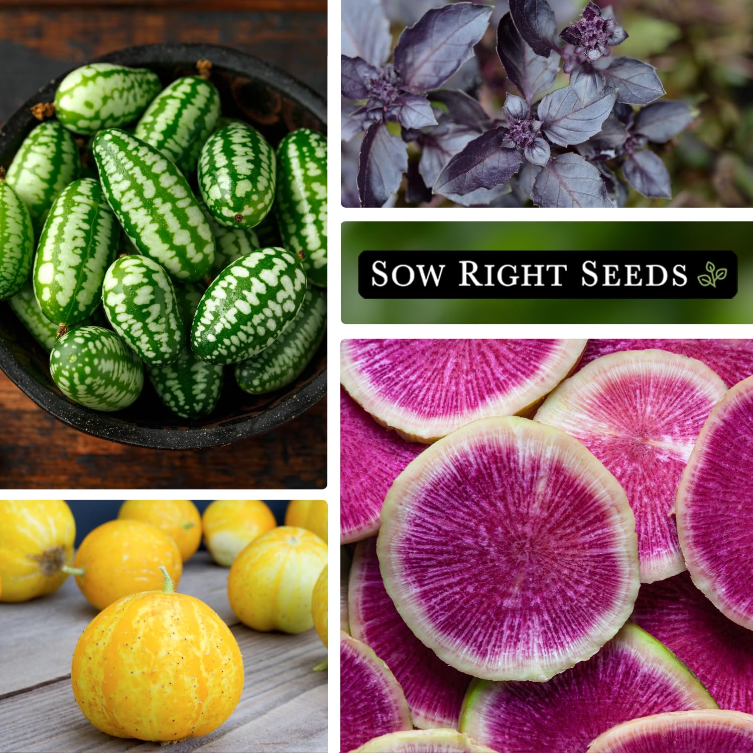 Sow Right Seeds colorful veggies closeup highlights unique hues and cooking possibilities