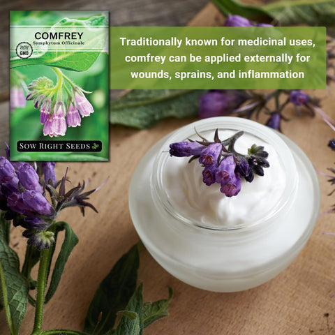 Drought-tolerant Sow Right Seeds comfrey ideal for low-water landscapes.
