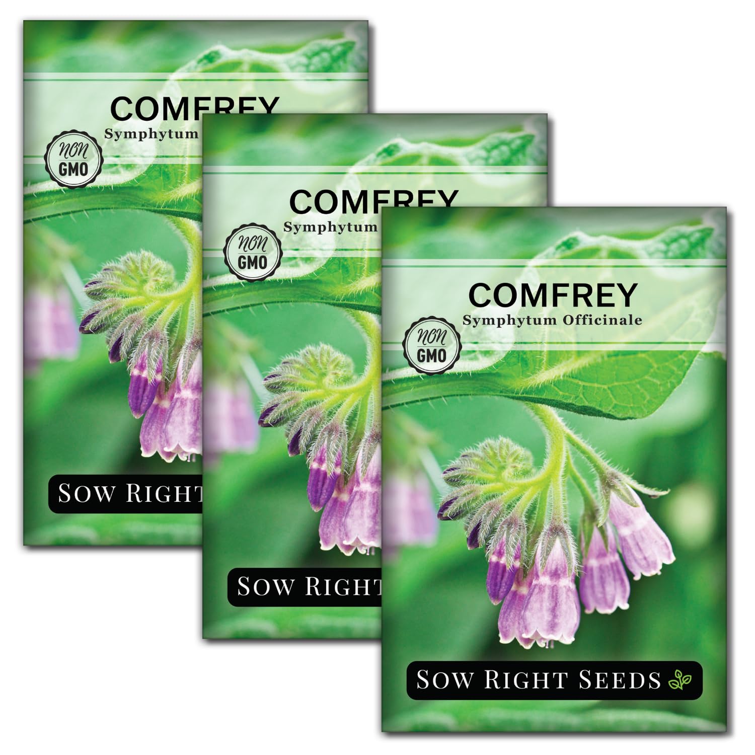 Sow Right Seeds comfrey seeds in a large packet ready for garden planting and soil enrichment.