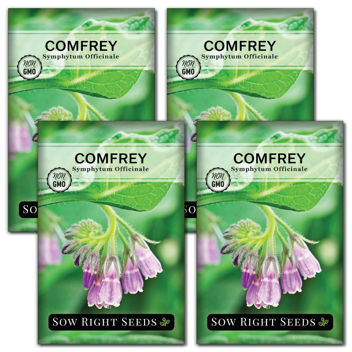Sow Right Seeds comfrey seeds packet for soil conditioning and pollinator-friendly beds.