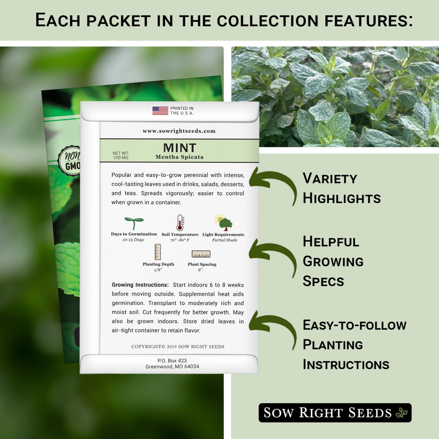 Sow Right Seeds common mint seed packets highlight spearmint for teas, salads, and beverages.