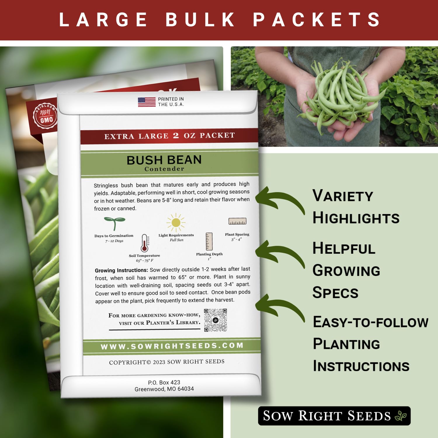 Sow Right Seeds Contender beans planted 1 inch deep and 3-4 inches apart in soil.