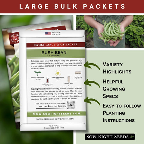 Sow Right Seeds Contender beans planted 1 inch deep and 3-4 inches apart in soil.