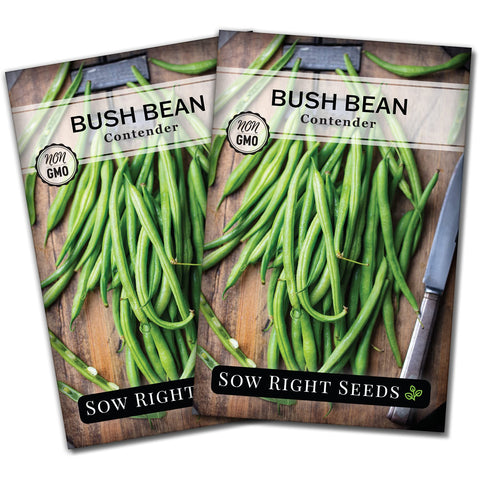 Sow Right Seeds Contender bush bean seed packet ready for a reliable home harvest.