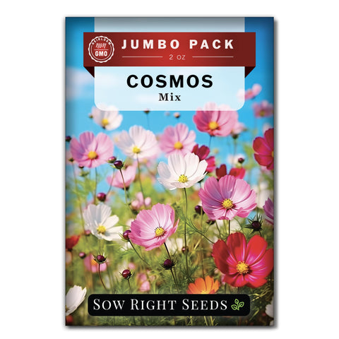 Sow Right Seeds cosmos bulk seeds pack for vibrant garden color.