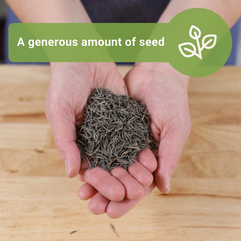 Sow Right Seeds cosmos germination tips guide healthy growth.