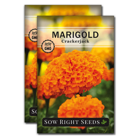 Sow Right Seeds Crackerjack African Marigold seed packet for vibrant garden color.