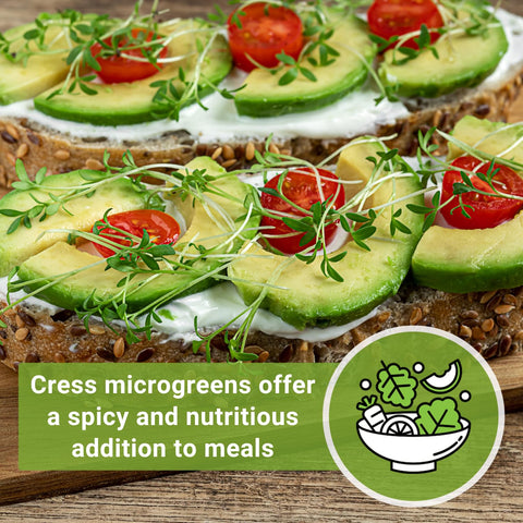 Peppery flavor of cress microgreens enhances salads and sandwiches from Sow Right Seeds.