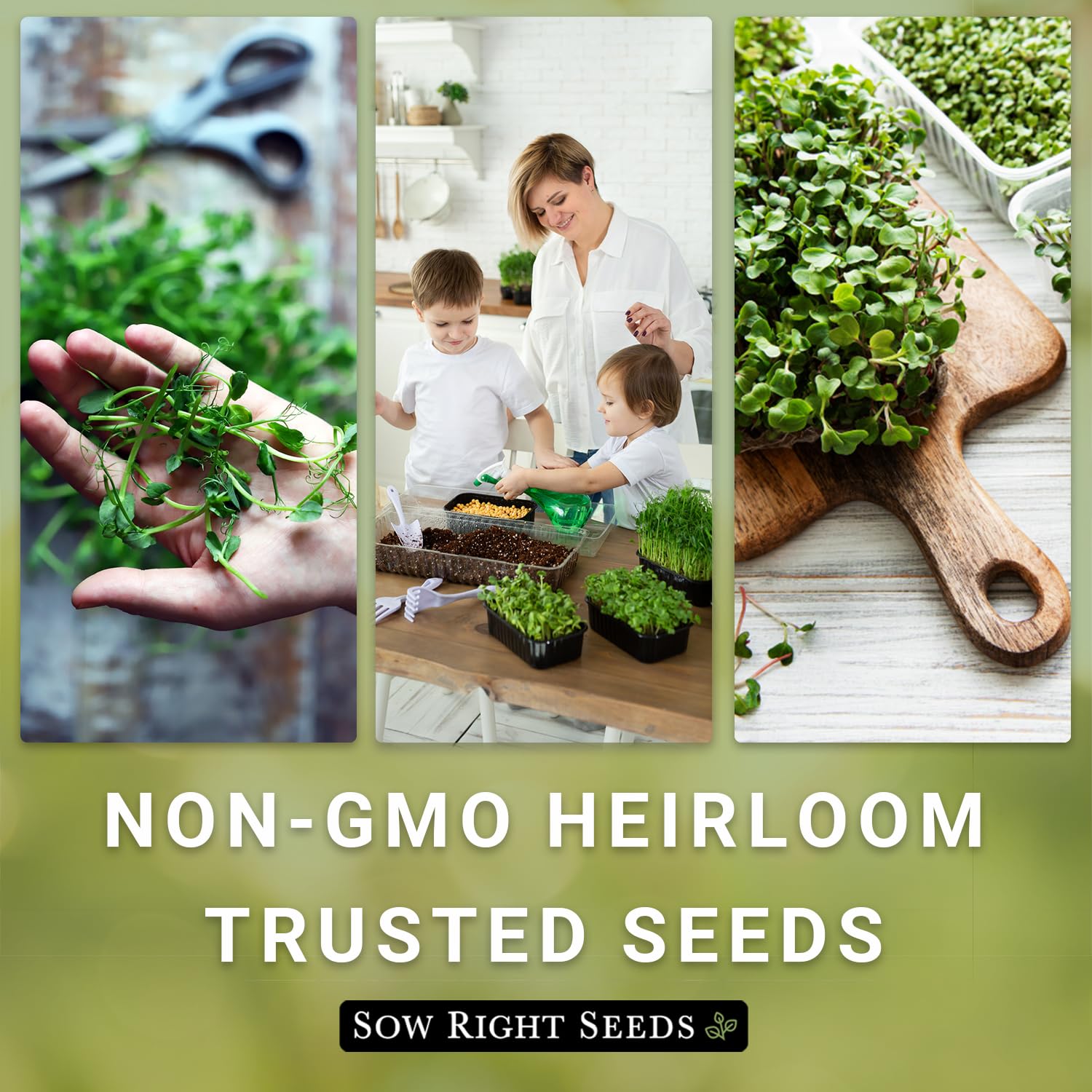 Sow Right Seeds packaging highlights 12 g minimum seed count for cress microgreens.