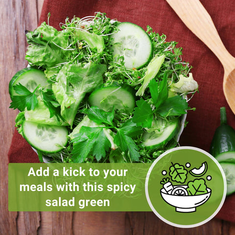 Sow Right Seeds garden cress in sun yields peppery garnish