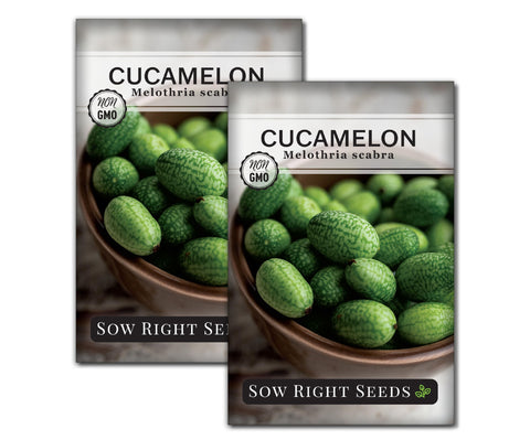 Sow Right Seeds cucamelon seeds large packet ready for outdoor garden planting
